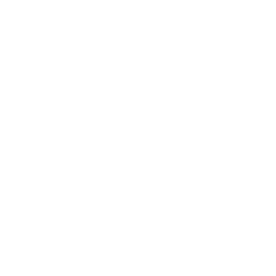 voice